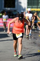 11.Wilhelmsburger Stadtlauf-2018-1653 43025675744