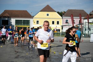 11.Wilhelmsburger Stadtlauf-2018-1568 42802332145