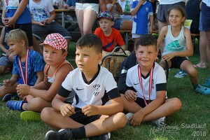 11.Wilhelmsburger Stadtlauf-2018-1065 43003062764