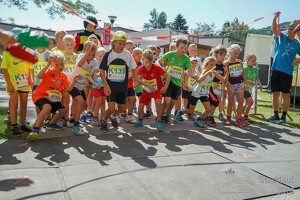 11.Wilhelmsburger Stadtlauf-2018-449 29835252978