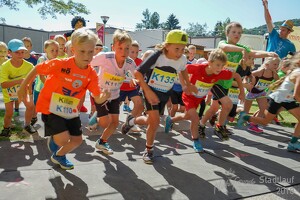 11.Wilhelmsburger Stadtlauf-2018-452 41897095860