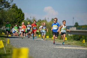 11.Wilhelmsburger Stadtlauf-2018-466 28815741737