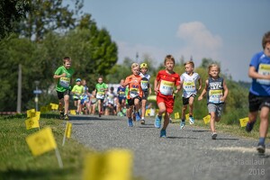11.Wilhelmsburger Stadtlauf-2018-468 29835268168
