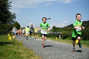 11.Wilhelmsburger Stadtlauf-2018-478 43658621212