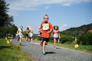 11.Wilhelmsburger Stadtlauf-2018-506 28815771427