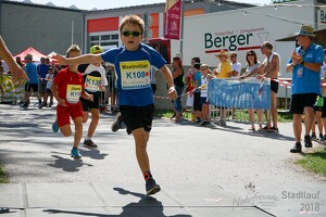 11.Wilhelmsburger Stadtlauf-2018-522 43658652112