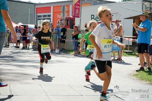 11.Wilhelmsburger Stadtlauf-2018-533 28815782967