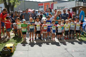 11.Wilhelmsburger Stadtlauf-2018-221 29834822658