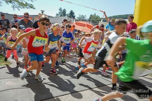 11.Wilhelmsburger Stadtlauf-2018-255 42989151324