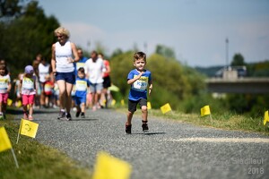 11.Wilhelmsburger Stadtlauf-2018-323 43658276032