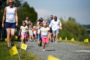 11.Wilhelmsburger Stadtlauf-2018-325 42802101175