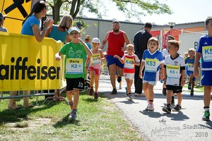 11.Wilhelmsburger Stadtlauf-2018-355 43658300302