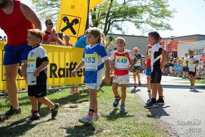 11.Wilhelmsburger Stadtlauf-2018-360 43658302912