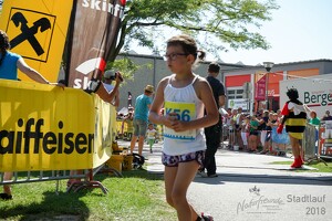 11.Wilhelmsburger Stadtlauf-2018-381 43658317912