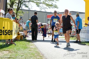 11.Wilhelmsburger Stadtlauf-2018-388 42802149135