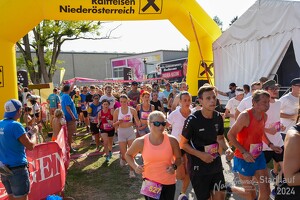16.WilhelmsburgerStadtlauf-1915 53887519211