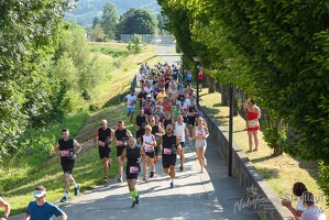 16.WilhelmsburgerStadtlauf-1993 53887751218