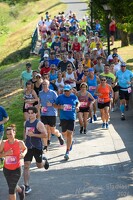 16.WilhelmsburgerStadtlauf-2028 53886609237