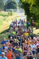 16.WilhelmsburgerStadtlauf-2033 53886609362
