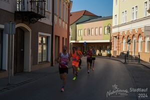 16.WilhelmsburgerStadtlauf-2068 53887752053