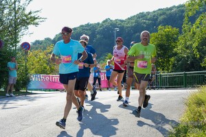16.WilhelmsburgerStadtlauf-2640 53886617782