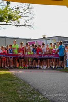 16.WilhelmsburgerStadtlauf-1103 53887578800