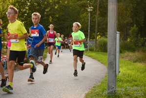 16.WilhelmsburgerStadtlauf-1178 53886251442