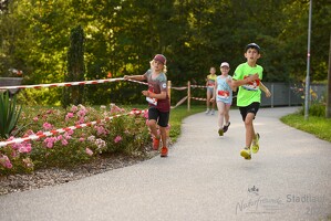 16.WilhelmsburgerStadtlauf-1186 53887498459