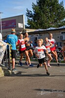 16.WilhelmsburgerStadtlauf-1239 53887502624