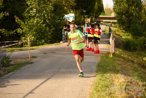 16.WilhelmsburgerStadtlauf-1242 53886256697