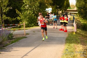 16.WilhelmsburgerStadtlauf-1246 53887503274