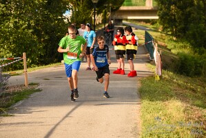 16.WilhelmsburgerStadtlauf-1267 53887169591