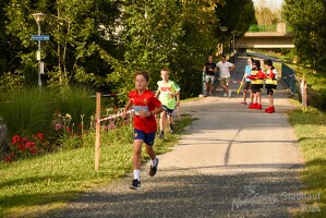 16.WilhelmsburgerStadtlauf-1275 53887504889