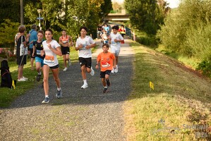 16.WilhelmsburgerStadtlauf-1283 53887505219