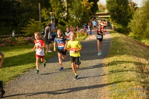 16.WilhelmsburgerStadtlauf-1292 53886259312