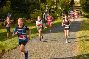 16.WilhelmsburgerStadtlauf-1295 53887400173