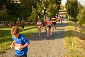 16.WilhelmsburgerStadtlauf-1331 53887593245