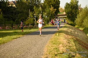 16.WilhelmsburgerStadtlauf-1342 53886261457