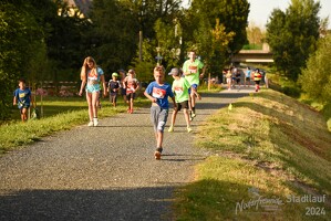 16.WilhelmsburgerStadtlauf-1347 53887594235