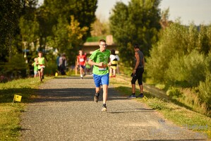 16.WilhelmsburgerStadtlauf-1380 53887403403