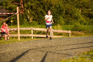 16.WilhelmsburgerStadtlauf-1016 53887172481