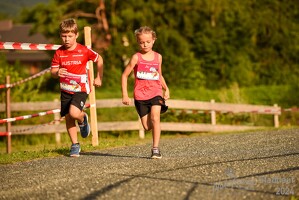 16.WilhelmsburgerStadtlauf-1020 53886261452