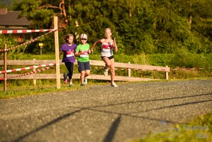 16.WilhelmsburgerStadtlauf-1036 53887508219