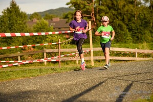 16.WilhelmsburgerStadtlauf-1040 53887173371