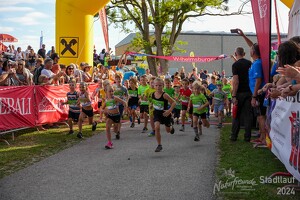 16.WilhelmsburgerStadtlauf-679 53886246497