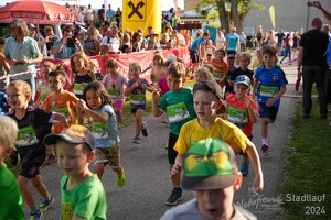 16.WilhelmsburgerStadtlauf-688 53887158981