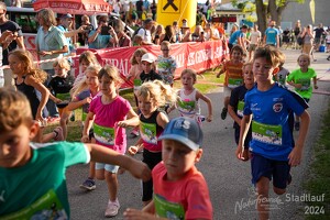16.WilhelmsburgerStadtlauf-691 53887388203