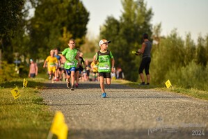 16.WilhelmsburgerStadtlauf-707 53887494594