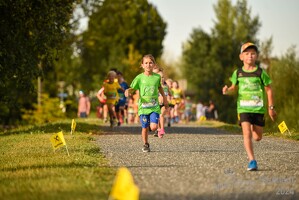 16.WilhelmsburgerStadtlauf-710 53887494799