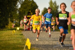 16.WilhelmsburgerStadtlauf-715 53887581355